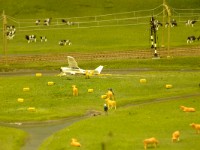 DSCF1167  Plane crash